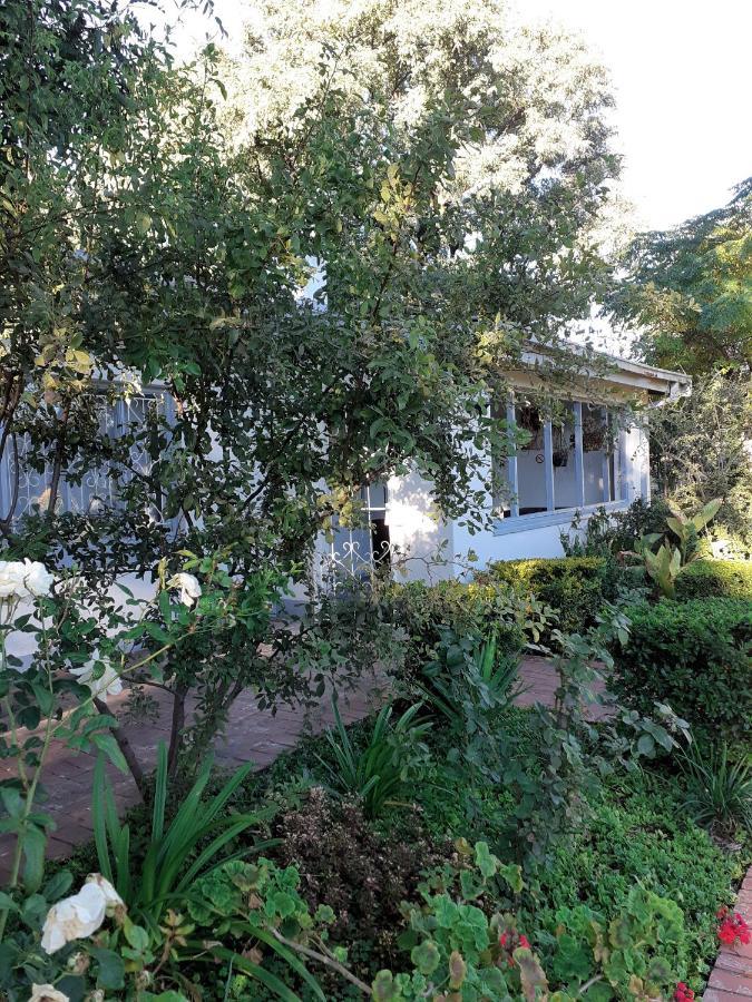 Driftwood Boutique Bed And Breakfast Lobatse Bagian luar foto